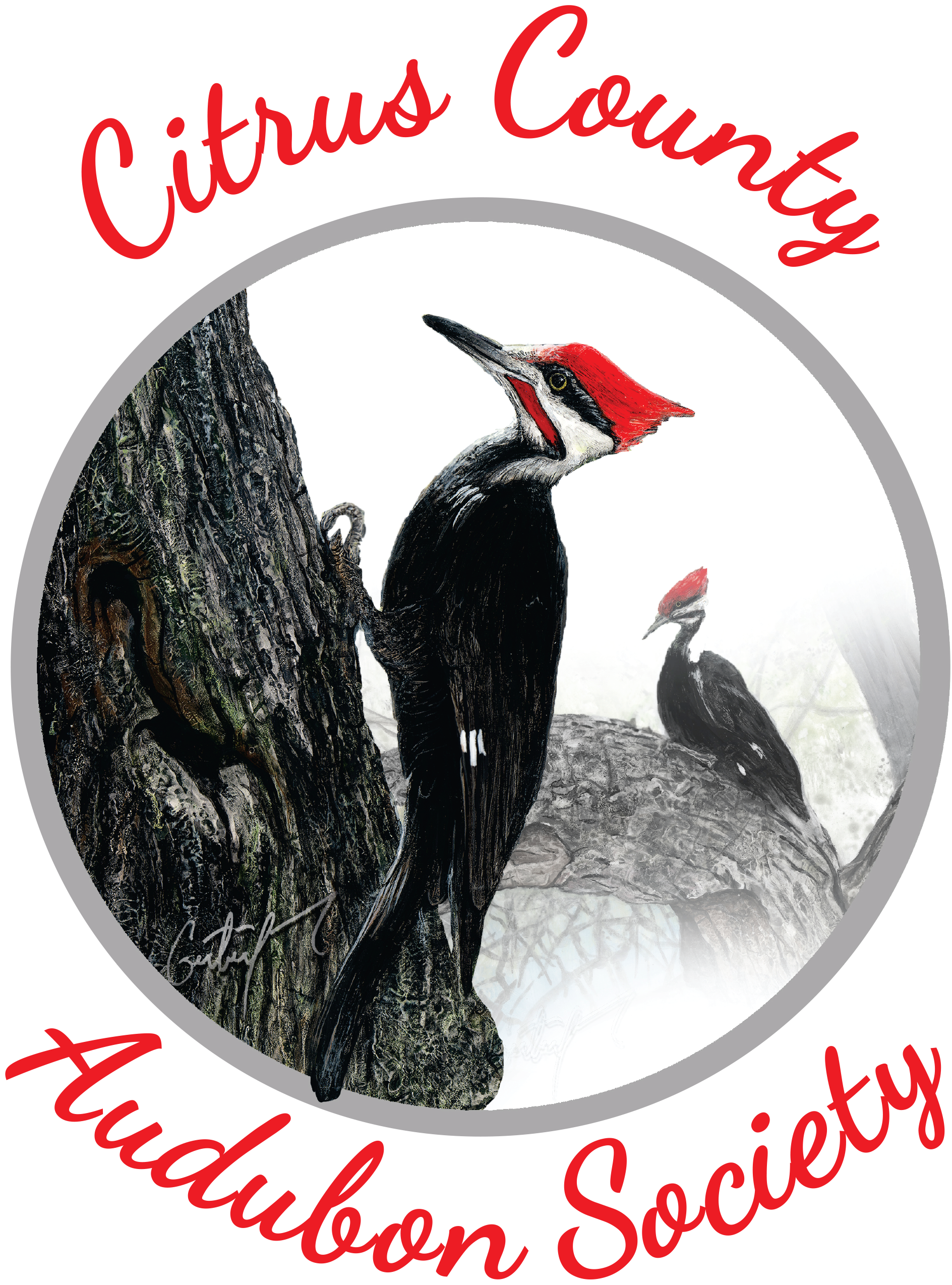 Citrus County Audubon Society